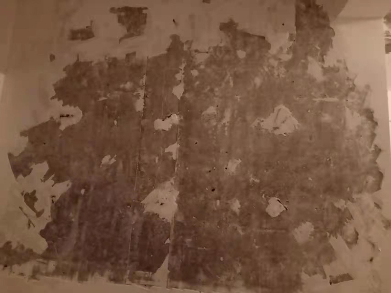 老式陽臺墻面發(fā)霉怎么辦？墻面翻新神宮天巧有妙招(圖5)